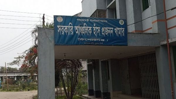 কিশোরগঞ্জ আঞ্চলিক হাঁস খামারে কর্মচারীদের বিরুদ্ধে দুর্নীতির অভিযোগ