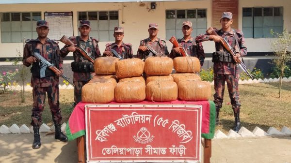 মাধবপুর সীমান্তে বিজিবির অভিযান আড়াই লাখ টাকার মূল্যের ৭৩ কেজি গাঁজা জব্দ