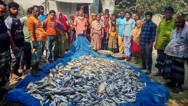 গোবিন্দগঞ্জে জমি বিরোধকে কেন্দ্র করে সংঘর্ষ ও বিষ প্রয়োগে মাছ নিধনের অভিযোগ