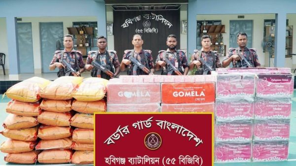 মাধবপুরে বিজিবির অভিযানে দুই ট্রাকে লুকানো ভারতীয় পণ্য জব্দ