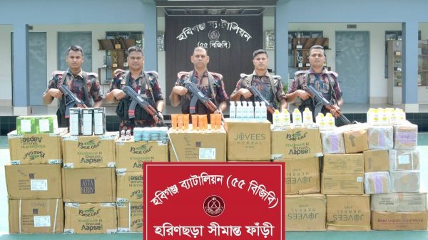 হবিগঞ্জে সীমান্তে বিজিবির অভিযানে ১ কোটি টাকার ভারতীয় পণ্য জব্দ