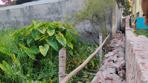 হেমায়েতপুরে জমি দখল চেষ্টার প্রতিবাদ করায় হুমকি: নিরাপত্তাহীনতায় নারী, থানায় অভিযোগ